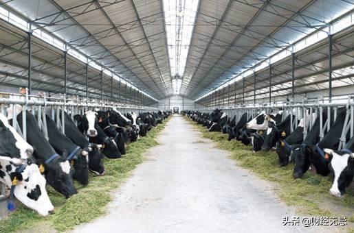 这家企业曾造就辽宁首富，如今却无人愿收购，堪称改制失败样本