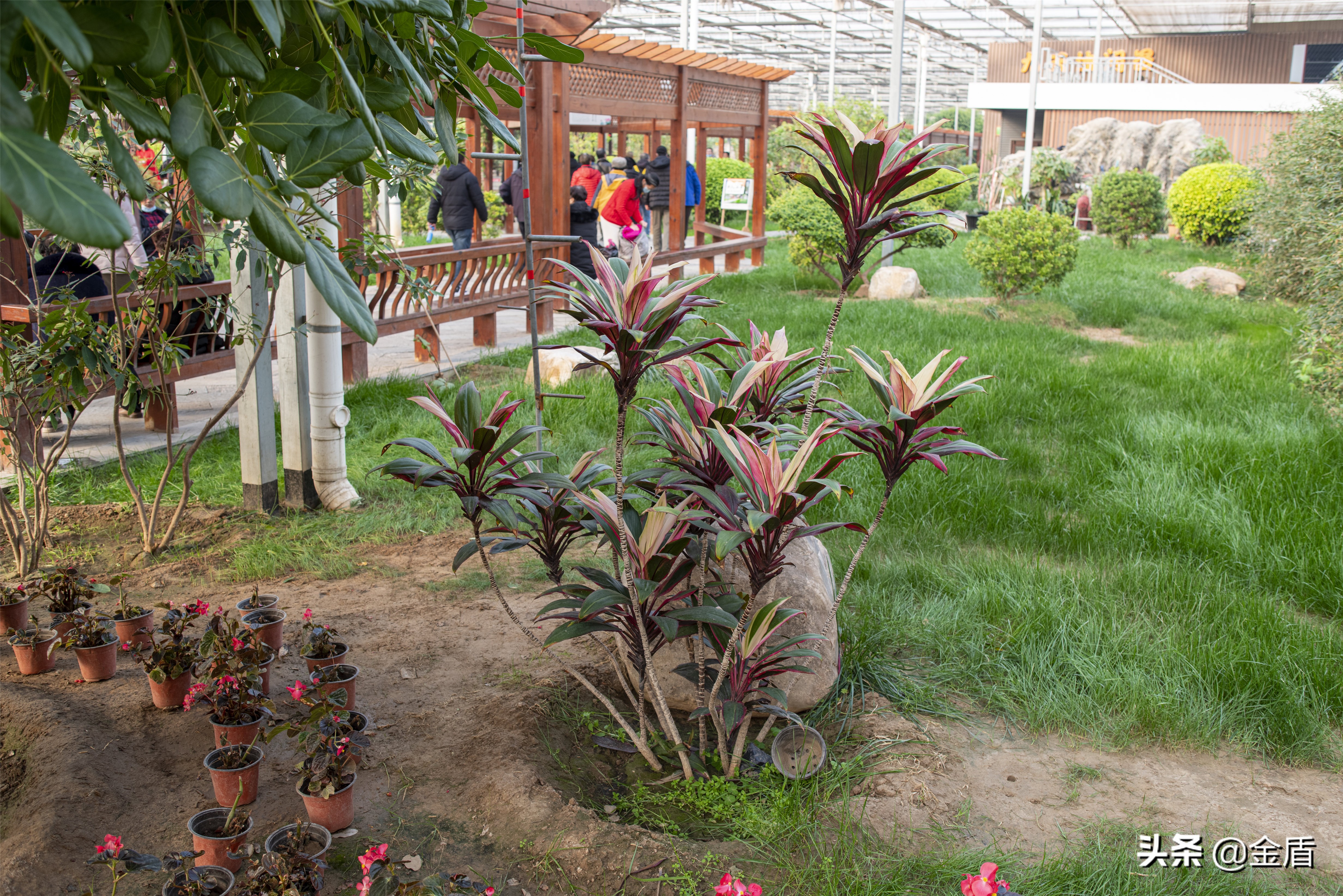 九天休闲谷附近景点大全,九天休闲谷一日游玩