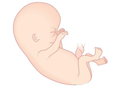 胎儿头大于多少需要剖腹产,胎儿头大容易是唐氏宝宝吗