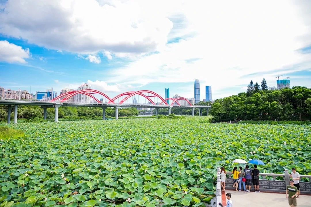 放假在深圳能去哪里玩,放假了可以去深圳的哪些地方玩
