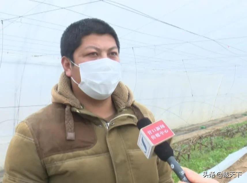 党员齐上阵抗疫保生产,沿滩党员干部奋战一线抗疫保春耕