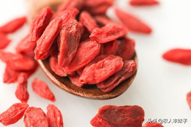 药用枸杞的种植技术,枸杞干货怎么选