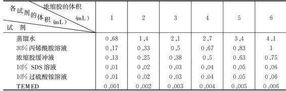 sds聚丙烯酰胺凝胶电泳法的用途,蛋白质的聚丙烯酰胺凝胶电泳图