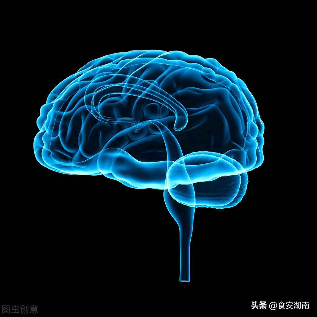 音乐疗法对脑卒中患者的影响,音乐对脑卒中干预的原理