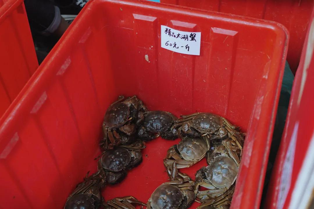 探苏州年轻人最爱逛的菜市场,苏州人气最旺的菜市场