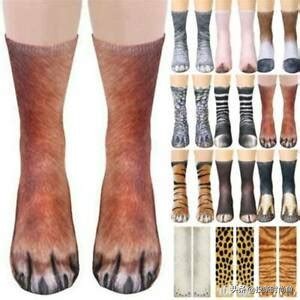 58种袜子类型介绍，买袜子不再迷茫了，超详尽的袜子大百科来了