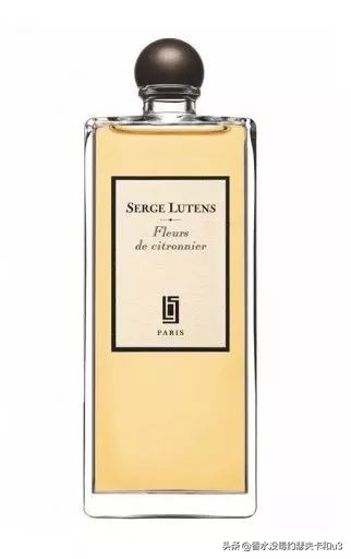 ysl薰衣草橙花麝香香水,7款热门白麝香香水推荐