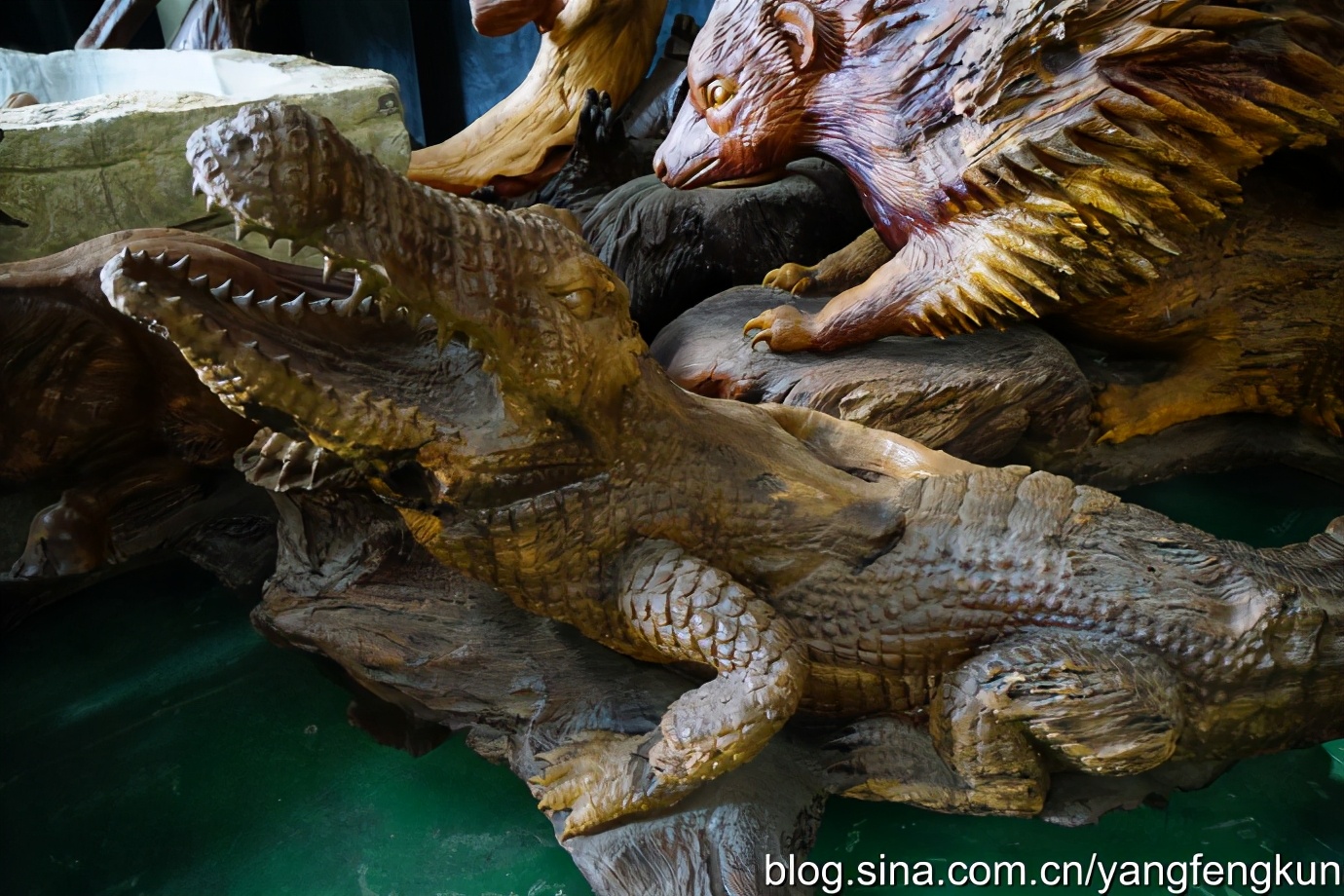 世界上最大的蜗牛介绍,全世界最大的蜗牛