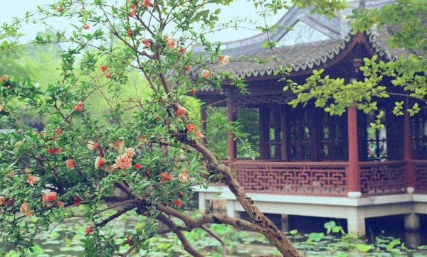 春节不加价的度假村,春节不加价的度假酒店