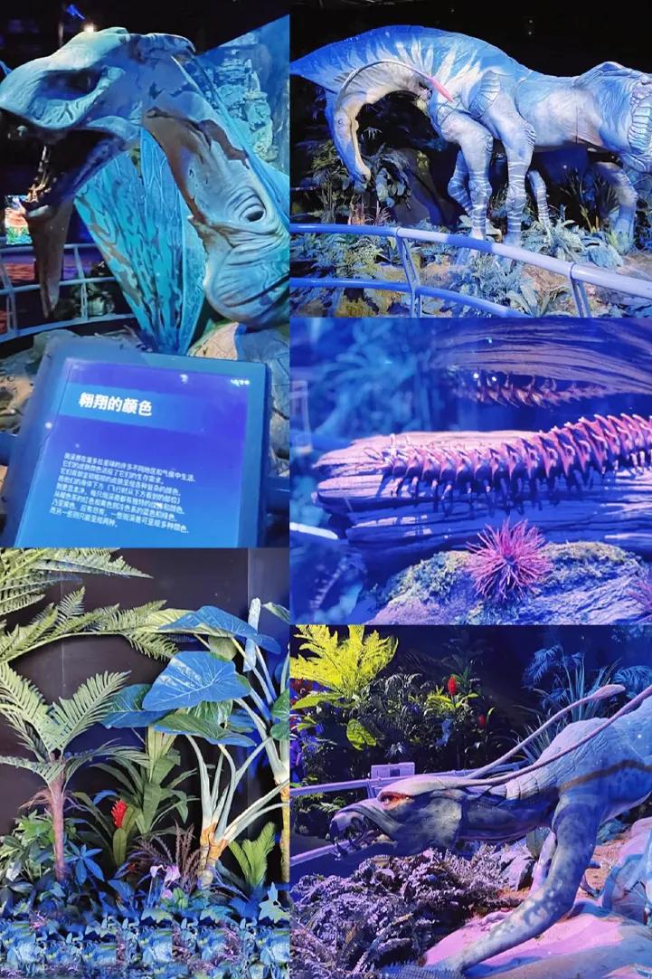 成都周边3天玩法攻略,成都玩10天攻略