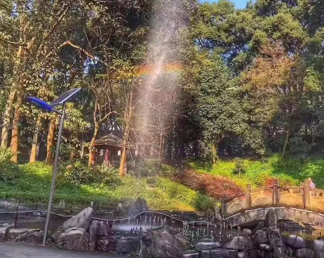 重庆哪所学校环境最好,重庆最美学校