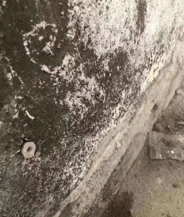 室内墙壁反碱发霉的解决方法,墙面发霉变脏怎么办视频