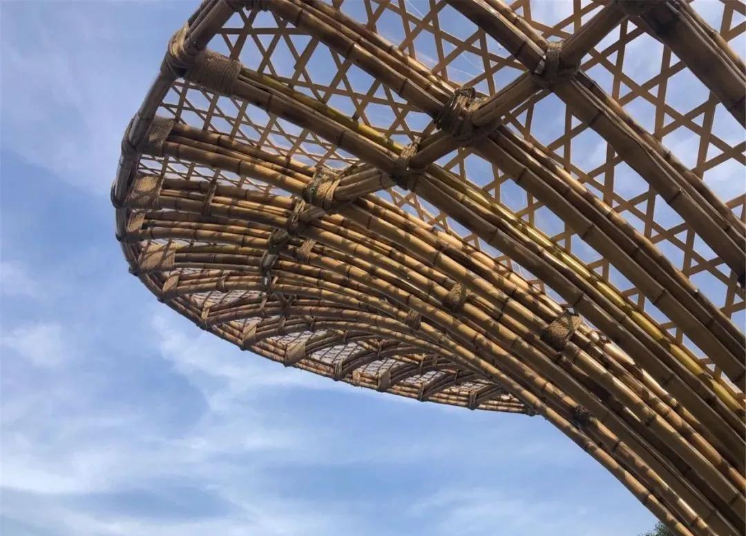 广东美丽乡村别墅设计案例,美丽乡村改造的典型案例