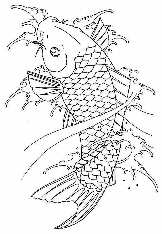 小写意画鲤鱼教程,工笔鲤鱼画讲解稿简单一点