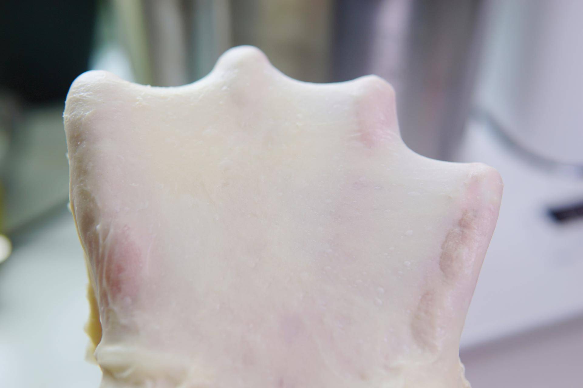 烘焙家用220伏小型和面机,烘焙和面机推荐