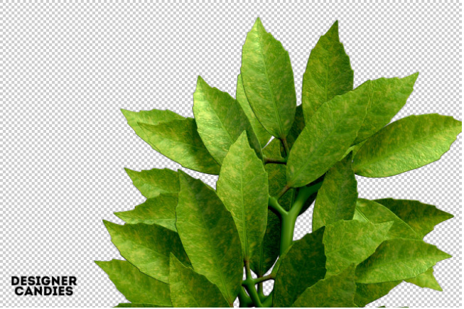 ps如何换花朵教程图解,ps怎么画枯萎的玫瑰