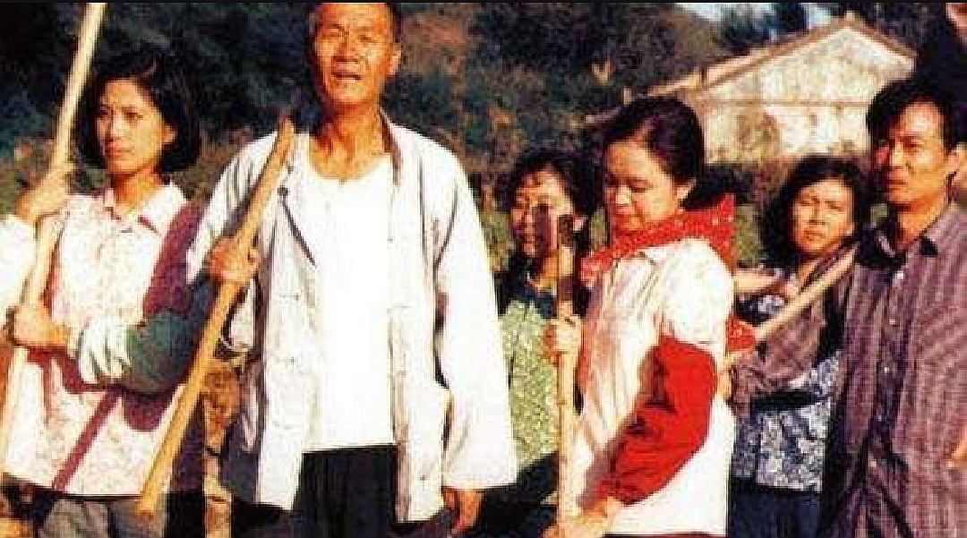 篱笆女人和狗田成仁扮演者,篱笆墙的女人田成仁