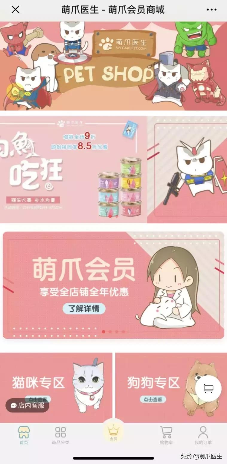 足不出户就能在线治猫病,24小时猫病在线咨询