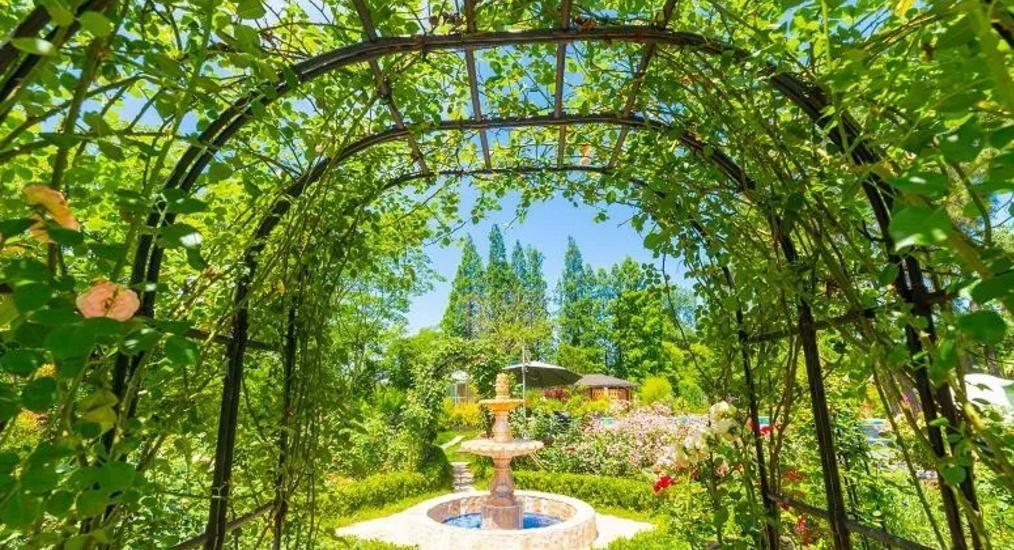 20w打造吃住玩一体农庄,有吃又有玩的农庄