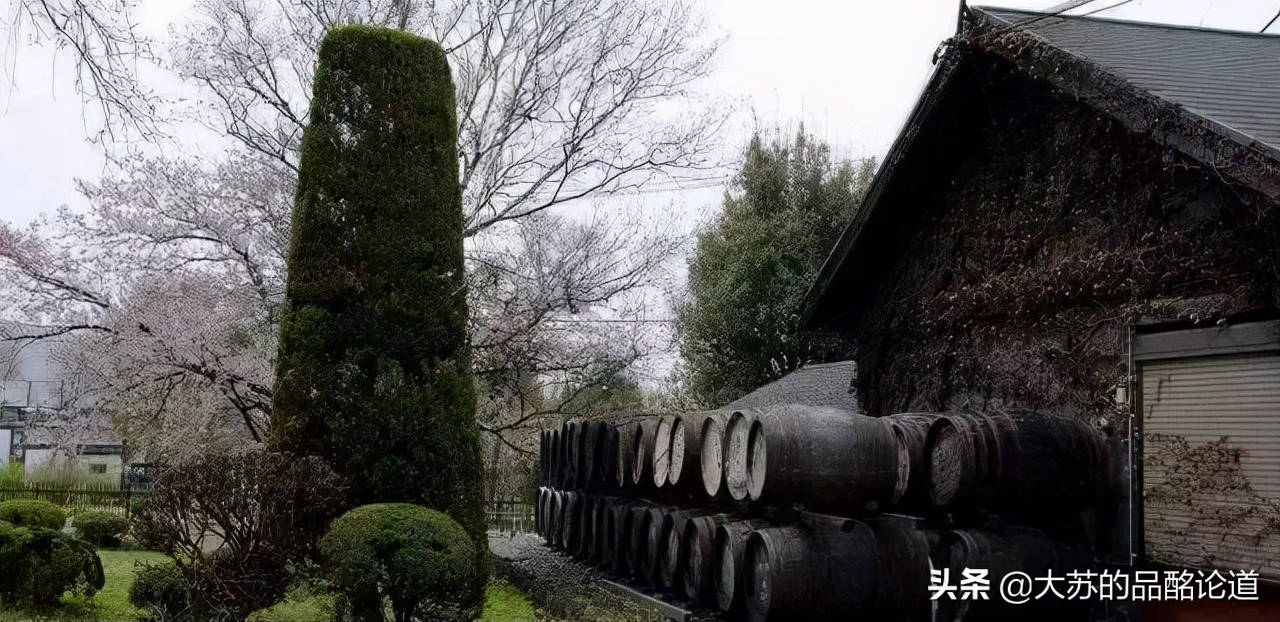 威士忌的投资收藏怎么玩,威士忌的收藏与投资如何选