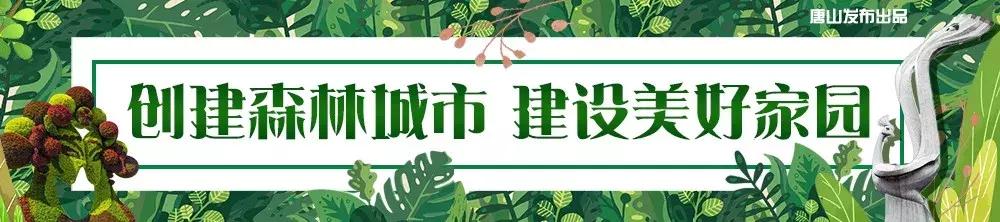 唐山市封路最新消息,唐山交通停运通告