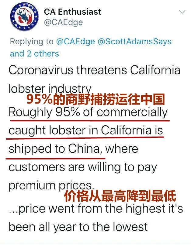 龙虾没人吃,龙虾不吃东西