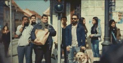 为什么导盲犬会受歧视,导盲犬被歧视合集