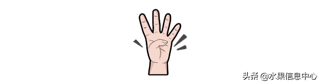 揭秘各种水果批发的价格,批发市场卖水果的技巧