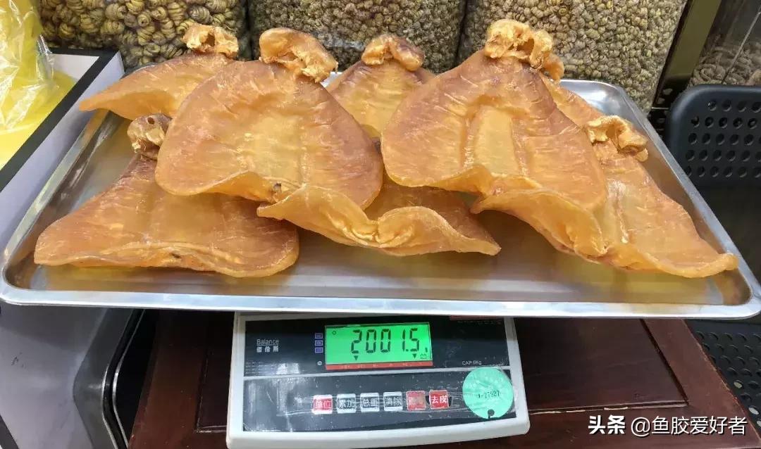 五大顶级鱼胶赤嘴鳘鱼胶,五大赤嘴鱼胶