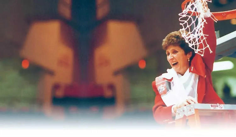 球星上脚的都是什么鞋,众多球星上脚的板鞋