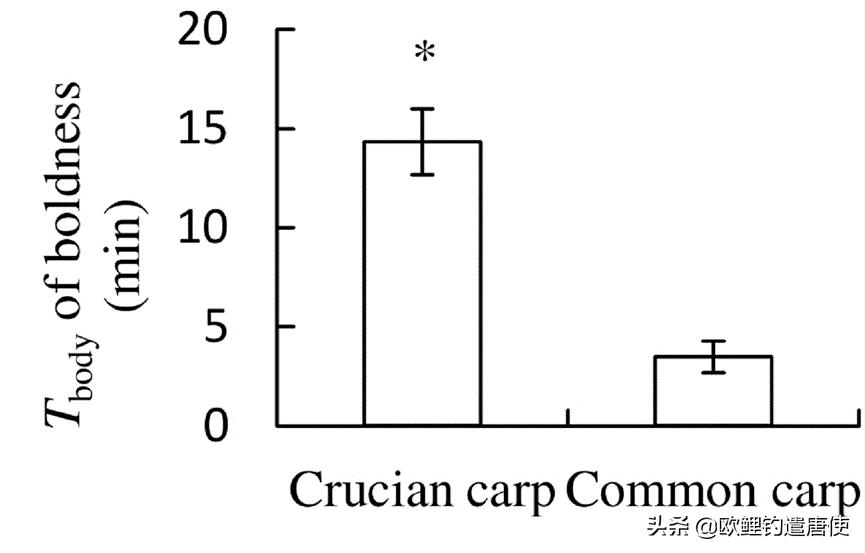 为什么鲤鱼比鲫鱼难钓,为什么鲫鱼这么难咬钩