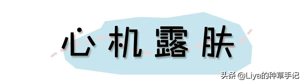 扔掉裤子，换上这条“羞羞裙”，撩到爆