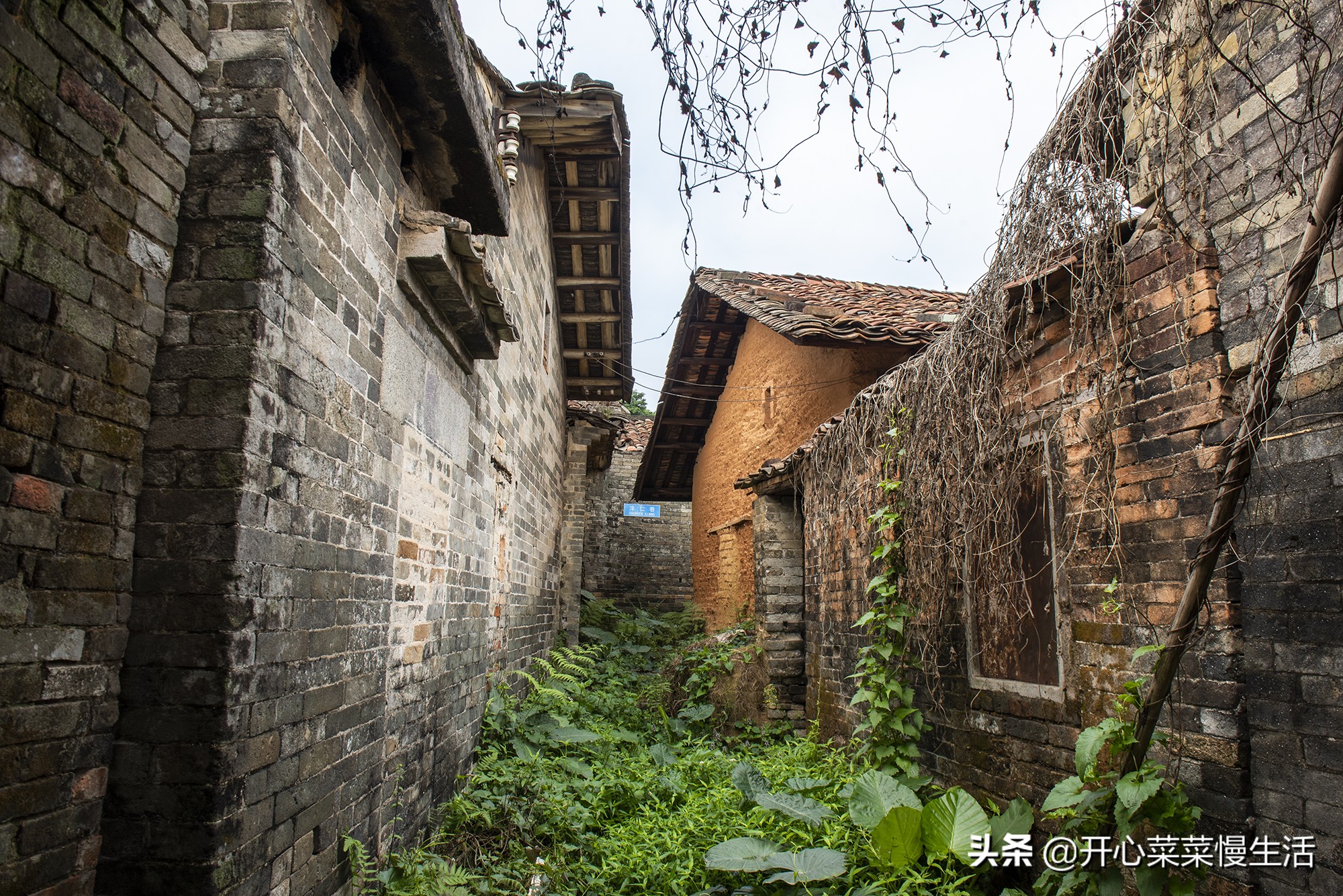 广州这个近900年历史古村要变了,广州古村落现状