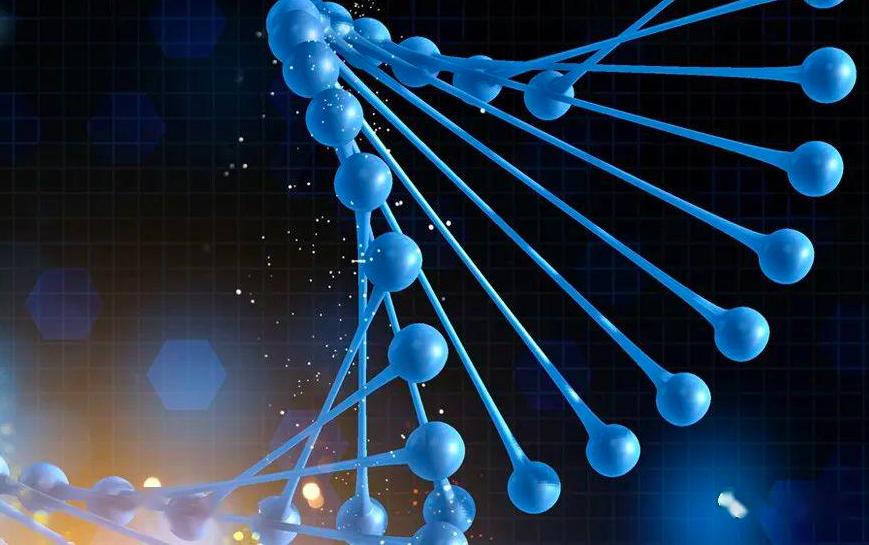 4米剧毒眼镜王蛇,为啥眼镜王蛇这么大又有剧毒