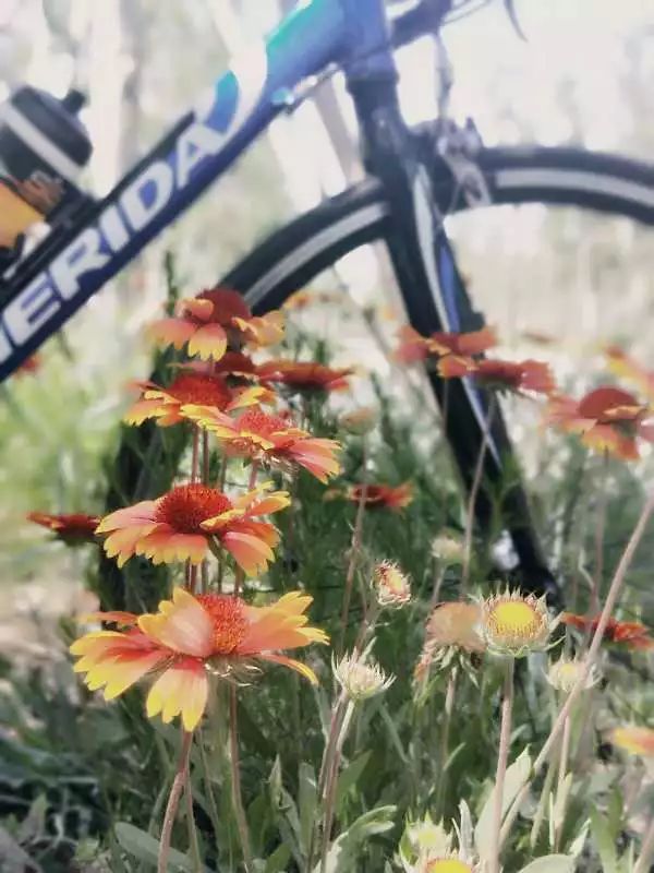 自行车保养与修理教程,专用自行车保养维护方法