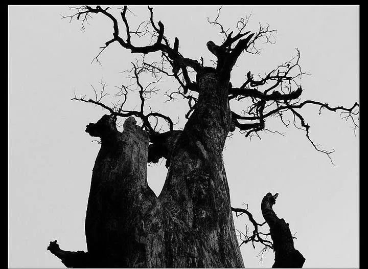 能否在别人*锁封**我们的产品之下，也有点骨气地不购买他们产品呢