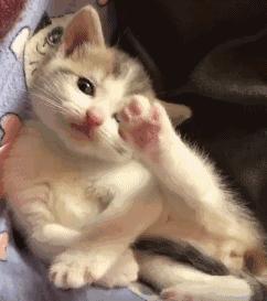 moncler羽绒服国外代言明星,moncler一件羽绒服可以穿几年