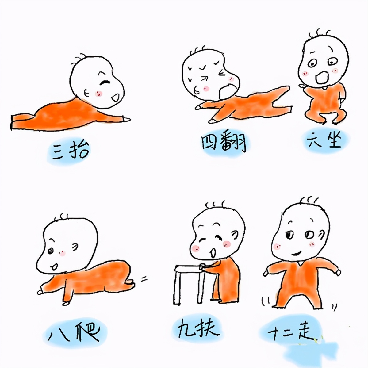 你家的宝宝达标了吗,怎么判断宝宝生长发育是否达标