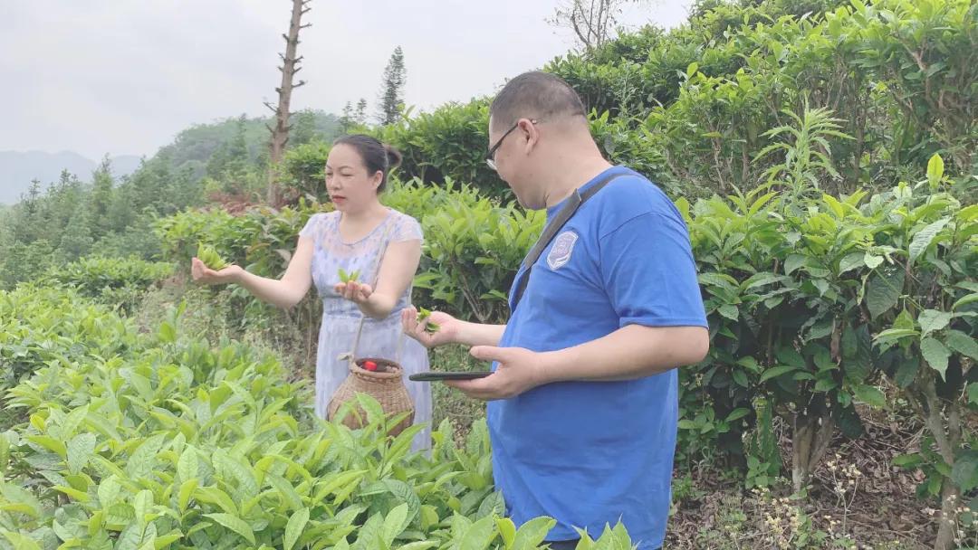 这帮人五一用爱心启航，一起为广西凌云大山的孩子点燃艺术之梦！