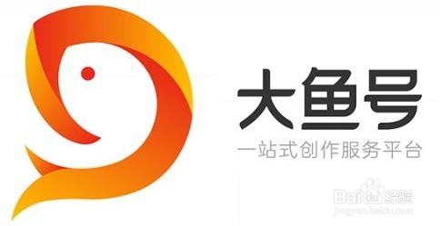 自媒体新手怎么入门选什么平台,自媒体新手怎么入门选择平台