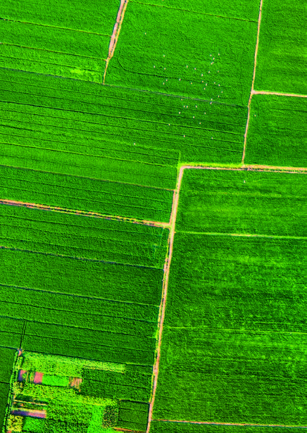 靖江属于广东还是江苏,靖江算不算江南