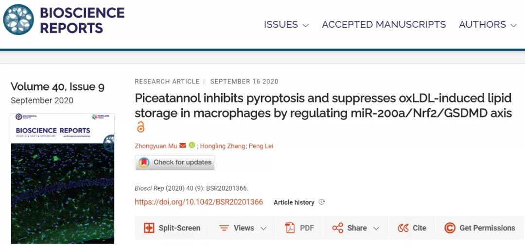 气功治疗癌症靠谱吗,气功治癌有奇效视频