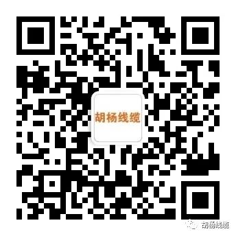 欢迎*疆新**自治区市场监督管理局领导莅临胡杨线缆公司交流学习