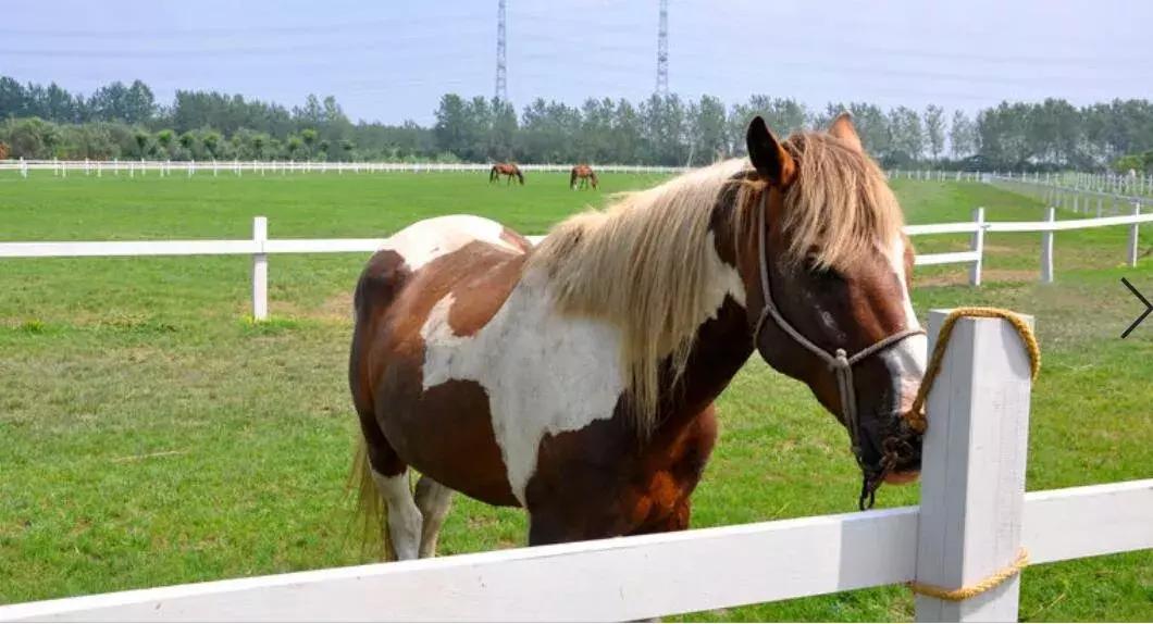 泰州溱湖一座人文湖景别墅，享受1800米湿地深处云海温泉丨欢墅