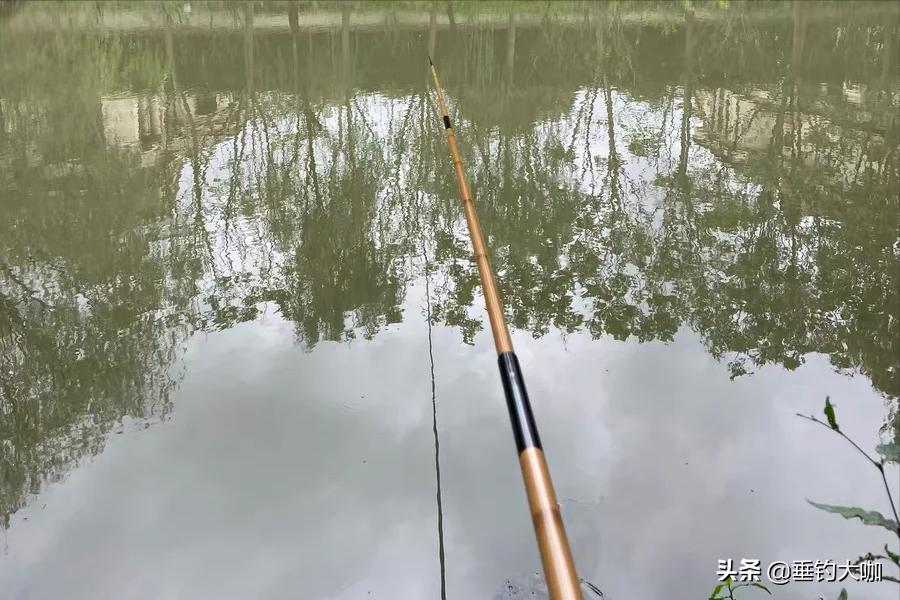 性价比高的钓竿推荐一款,各大品牌入门款钓竿推荐