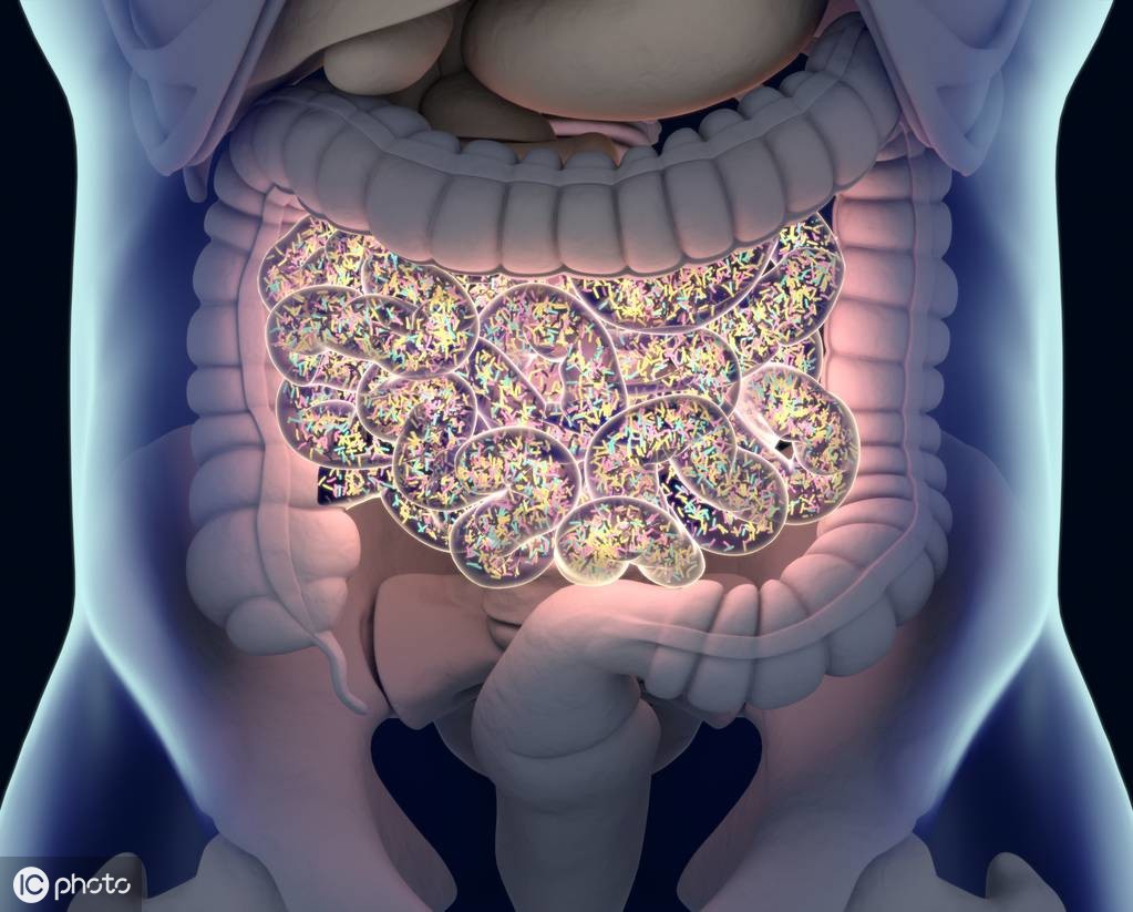 肠内粪便多怎么办,大便有没消化完的食物是什么原因