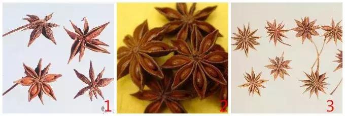 十大听上去匪夷所思的法医常识：自杀碎尸？死后叹气？