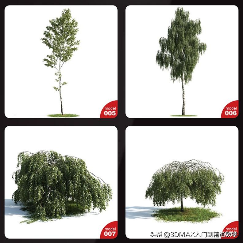 3dmax树木模型在哪里,3dmax植物树