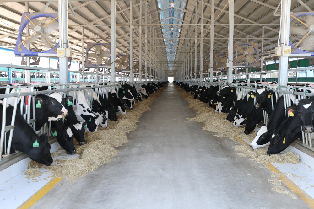 江苏东辛：上半年利润破亿高质量发展开新局