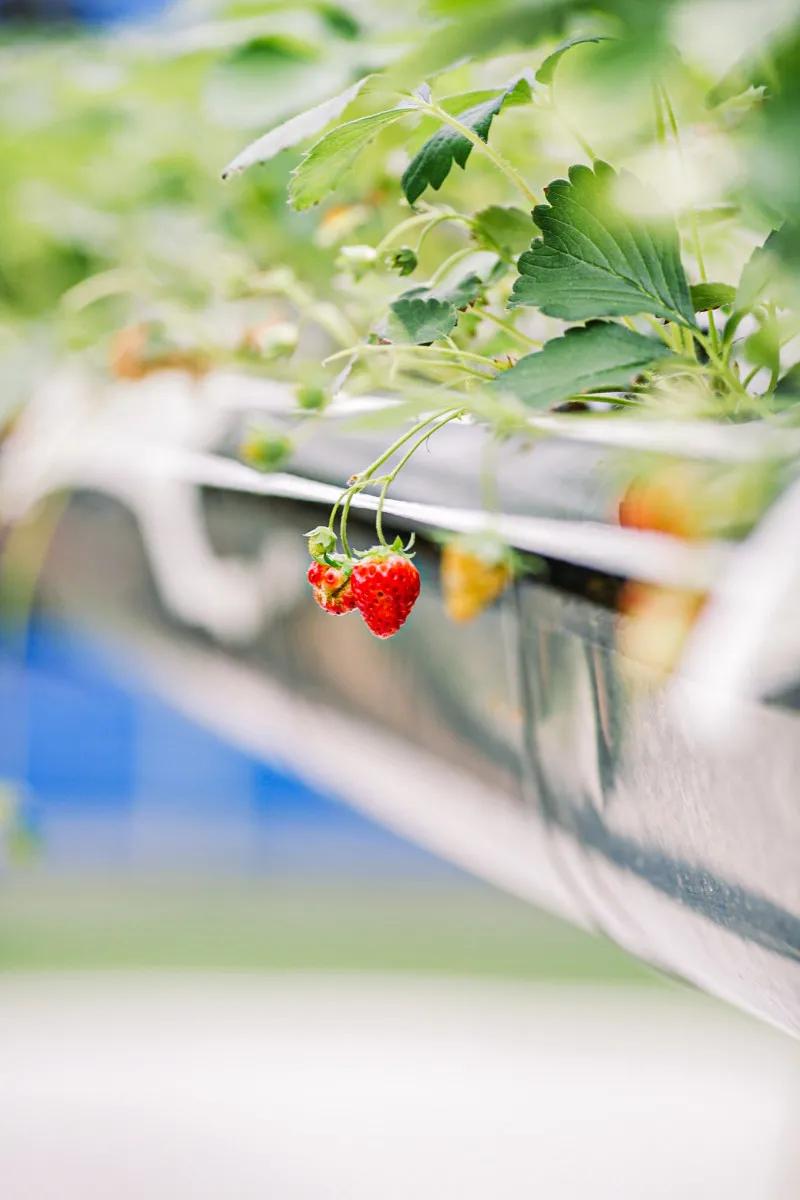在大山深处幽静绝美的村落,深藏大山中的村落